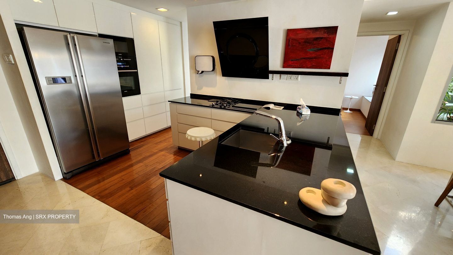 8 @ Mount Sophia (D9), Condominium #588705261
